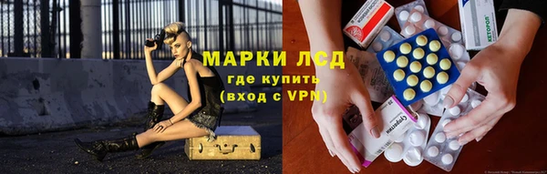 винт Ельня
