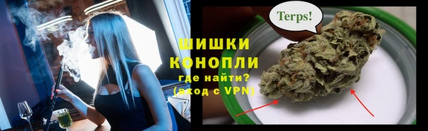 тгк Елизово