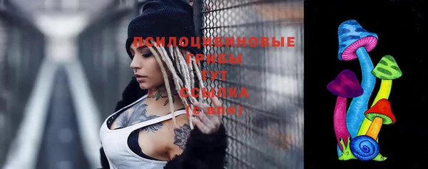винт Ельня