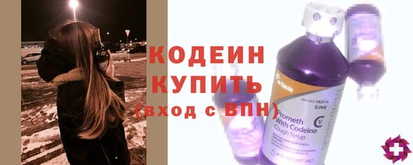 тгк Елизово