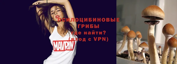 тгк Елизово