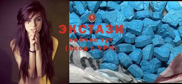 винт Ельня