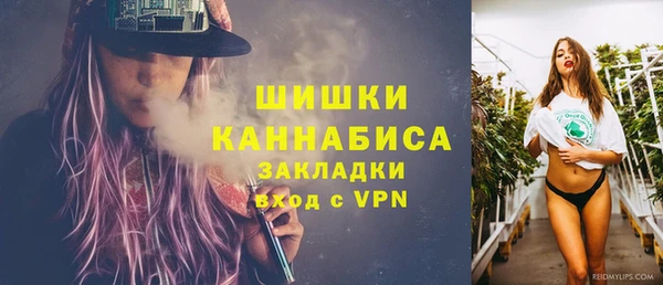 винт Ельня