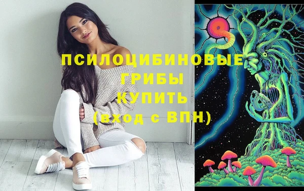 винт Ельня